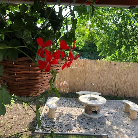 Mormota Vendeghaz Apartment Mezokovesd Luaran gambar