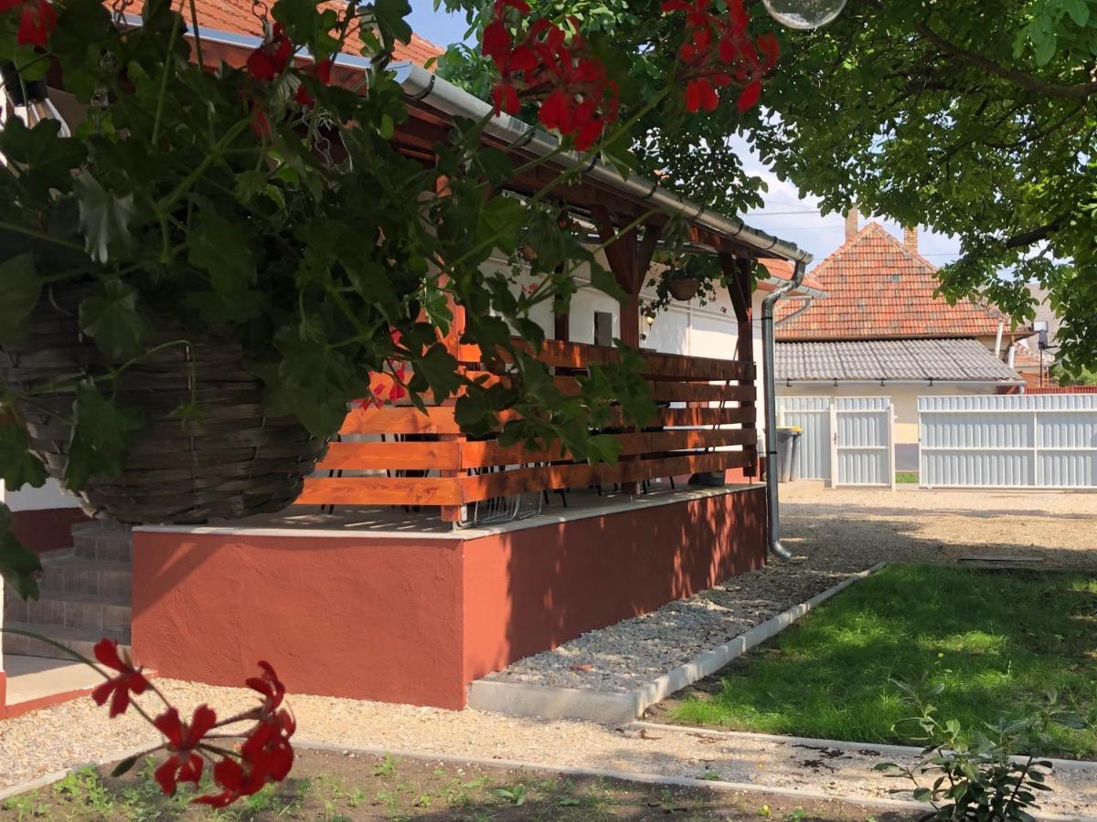 Mormota Vendeghaz Apartment Mezokovesd Luaran gambar